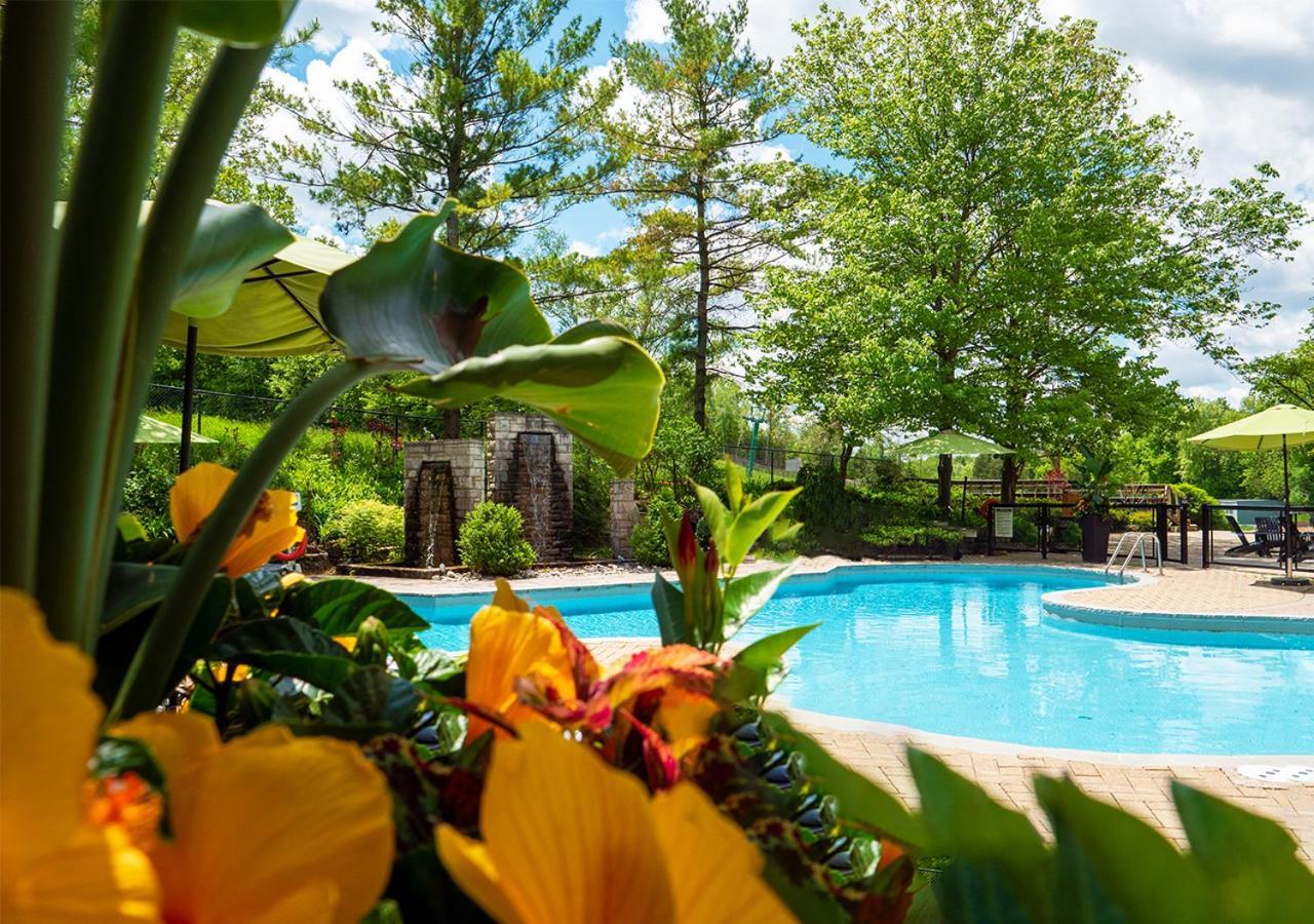 Hockley Valley Resort Orangeville Ngoại thất bức ảnh